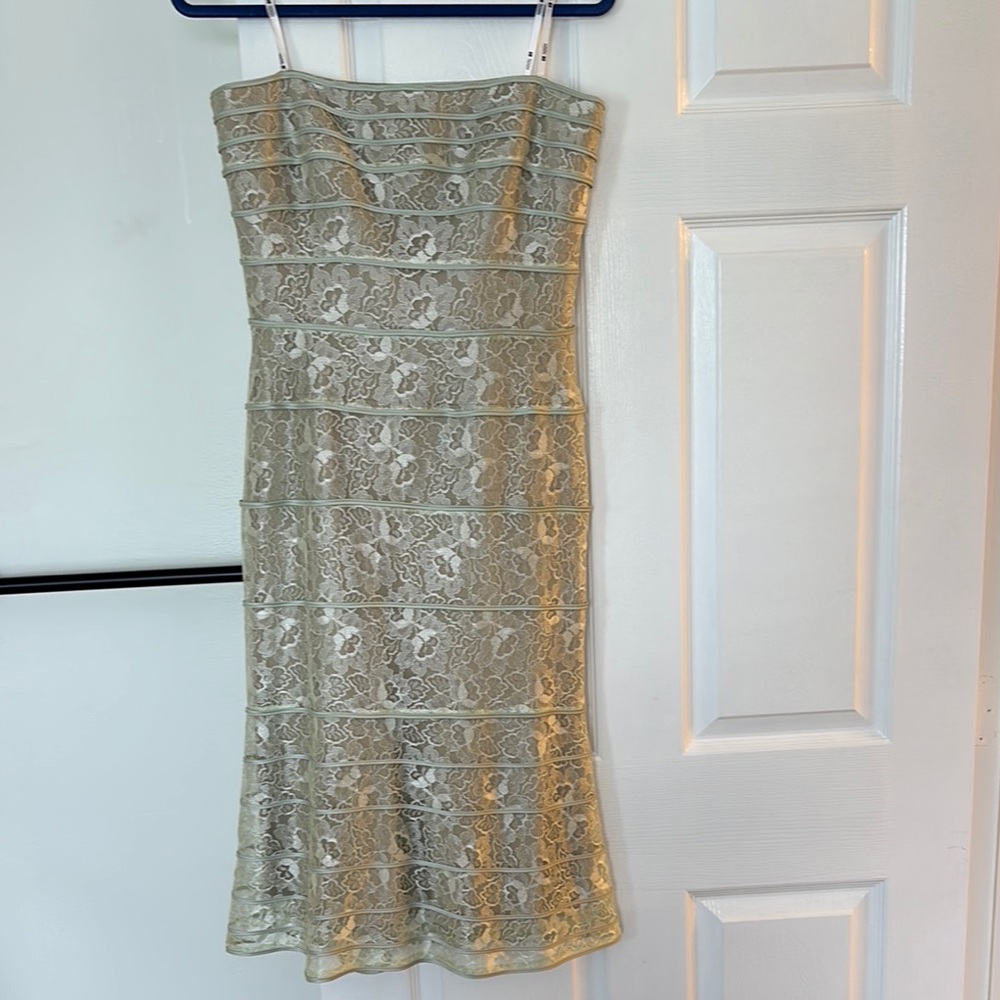 Elegant Lace Strapless Dress